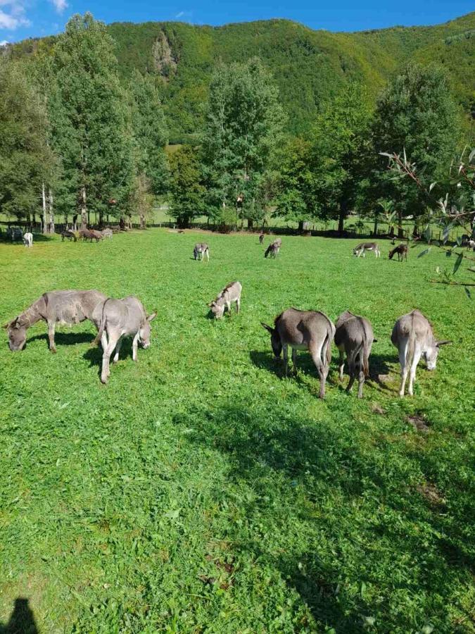 Mountain View Resort Gusinje Dış mekan fotoğraf