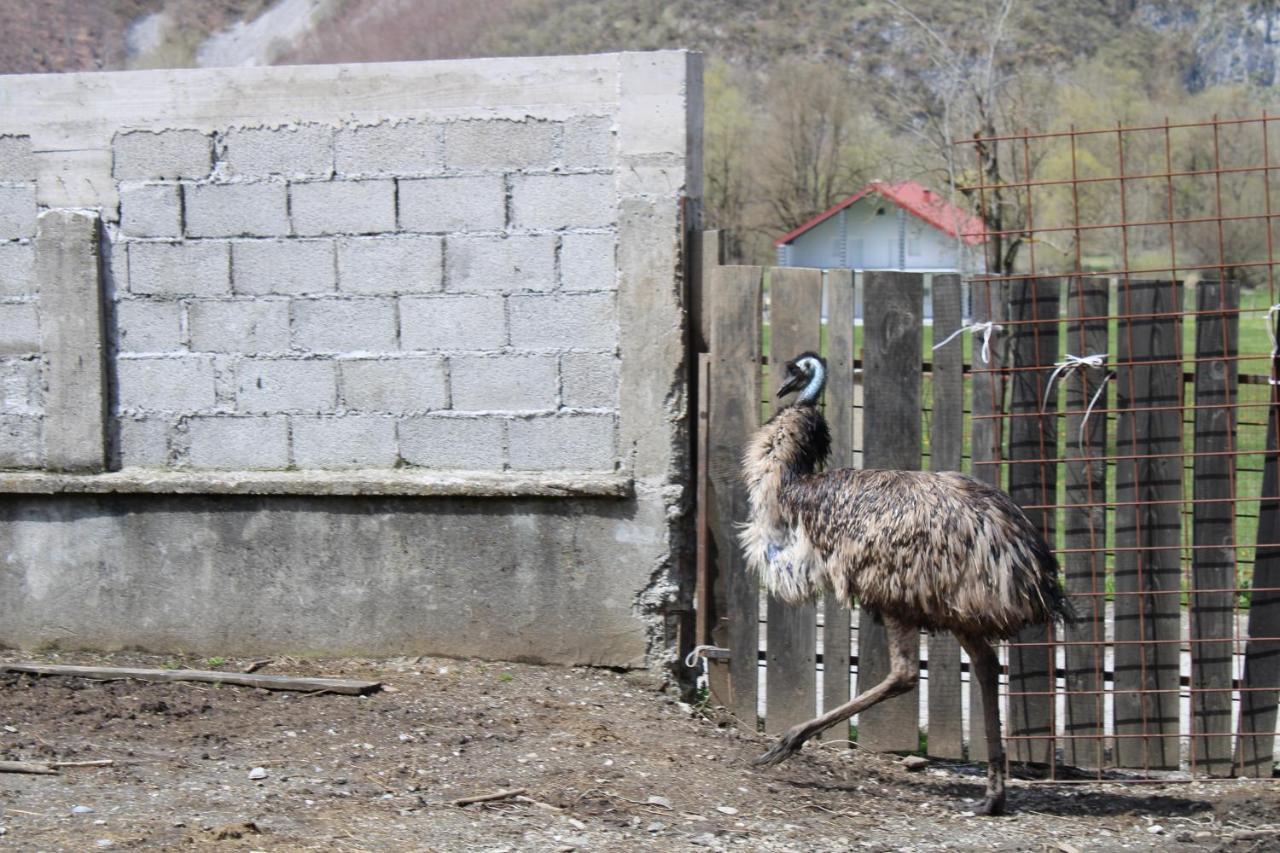 Mountain View Resort Gusinje Dış mekan fotoğraf