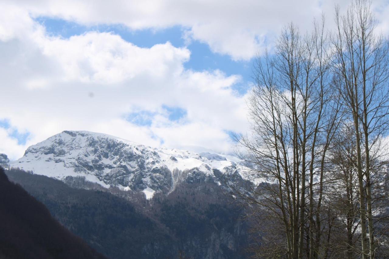 Mountain View Resort Gusinje Dış mekan fotoğraf